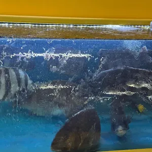 짱구네 리뷰 사진