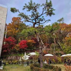 키스톤 스피시즈 사진 1