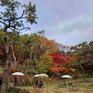 키스톤 스피시즈 리뷰 사진