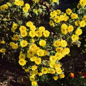 보리곳간 리뷰 사진