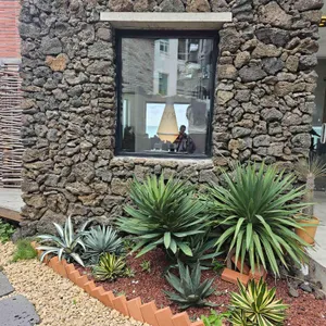 베릴 리뷰 사진