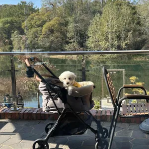 자잠 157 리뷰 사진