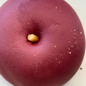 양구농사꾼 사진