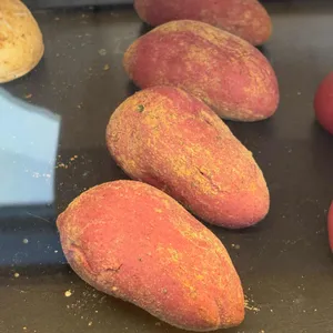 양구농사꾼 사진