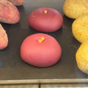 양구농사꾼 사진