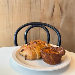 파운드 그레도 사진