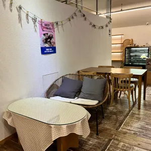 하고리 리뷰 사진