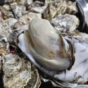 정우굴구이 리뷰 사진