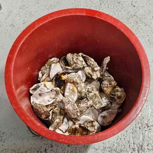 정우굴구이 사진