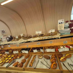 플레져 리뷰 사진