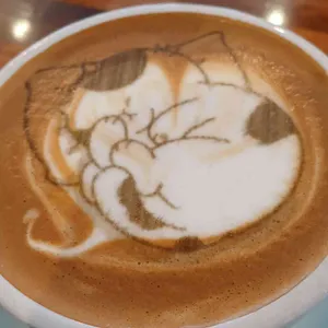 스테이머스트 사진