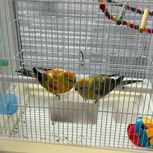 해그리다 리뷰 사진