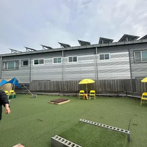 컴페니언 리뷰 사진