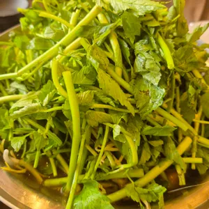 등촌샤브칼국수 사진