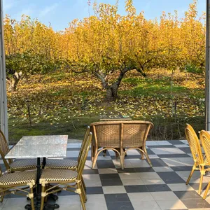 죽백화 커피클럽 리뷰 사진