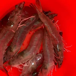 새우랑꽃게랑 대표 사진