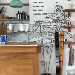 캐트 리뷰 사진