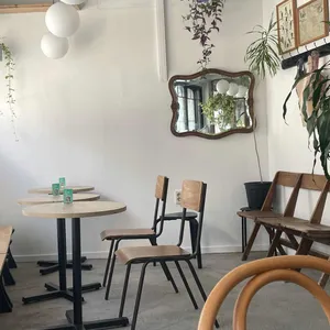 캐트 리뷰 사진