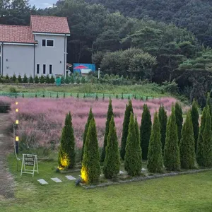 유리원 리뷰 사진