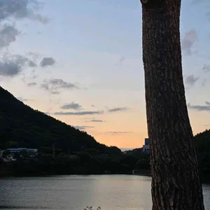 유리원 리뷰 사진