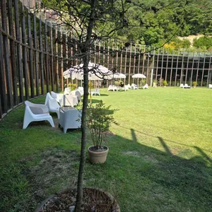 사운드 오브 사일런스 리뷰 사진