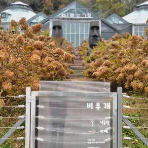 비루개 리뷰 사진