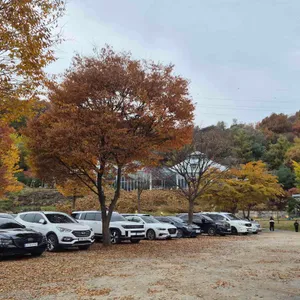 비루개 리뷰 사진