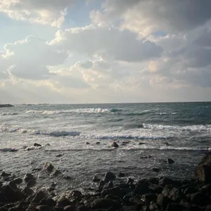 동복해녀해산물직매장 리뷰 사진