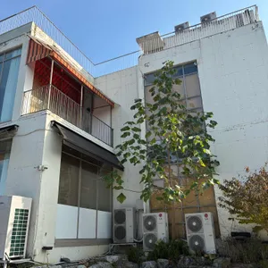 월페이퍼 리뷰 사진