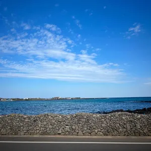 온오프 리뷰 사진