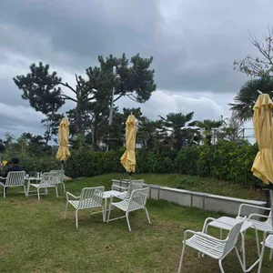 그릿비 리뷰 사진