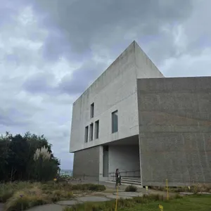 그릿비 리뷰 사진