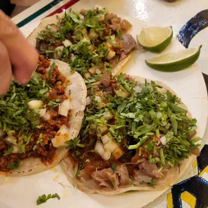 비야게레로 사진 1