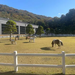 파크프리베 리뷰 사진