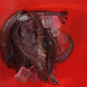 하루코다리&대한수산 리뷰 사진