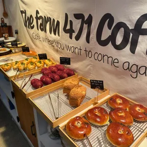 더팜471 리뷰 사진