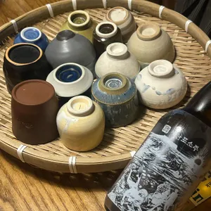 진파 대표 사진