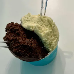 젤라또조이 사진 1