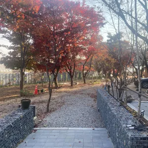 카페1941 대표 사진