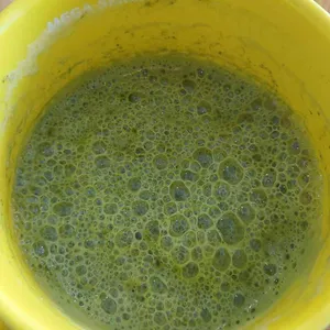 메가MGC커피 사진 2