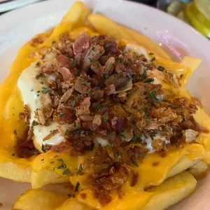 제레미버거 쥬니어 사진