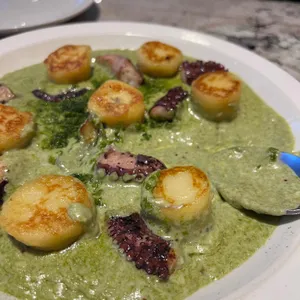 마노디셰프 사진