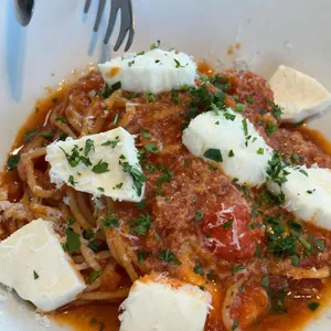 심퍼티쿠시 사진