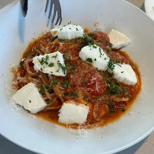 심퍼티쿠시 사진