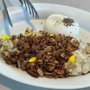 심퍼티쿠시 사진