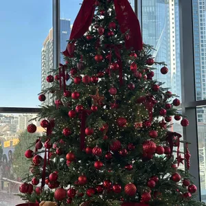 심퍼티쿠시 리뷰 사진