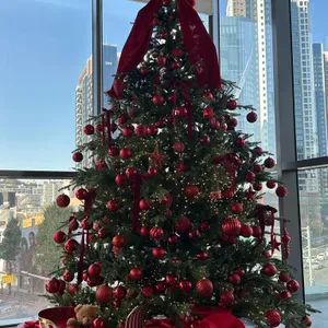 심퍼티쿠시 리뷰 사진