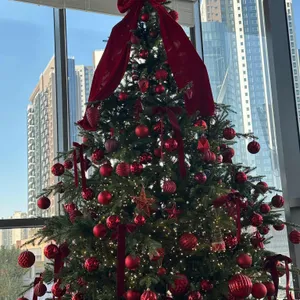 심퍼티쿠시 리뷰 사진