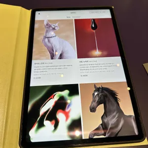 누데이크 티 하우스 리뷰 사진