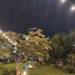 카페264 대표 사진